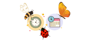 Lire la suite à propos de l’article Les insectes et le temps
