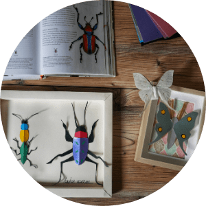 atelier-creatif-insecte-papier