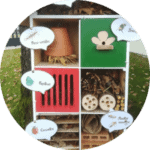 atelier-creatif-refuge-insectes