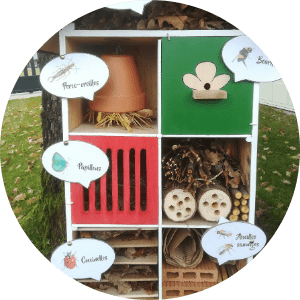 atelier-creatif-refuge-insectes