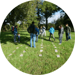 atelier-insectes-adultes-groupes