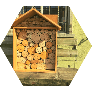 atelier-ehpad-refuges-insectes-fourmidables