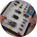 formule-scolaire-cycle-1