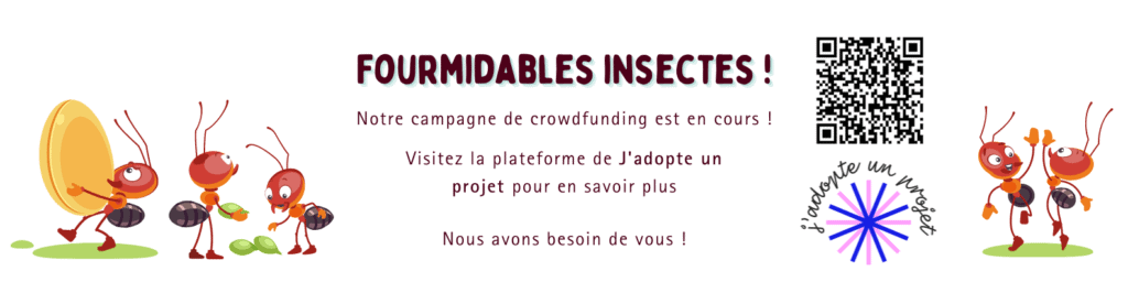 fourmidables-insectes-campagne-crowdfunding-jadopteunprojet